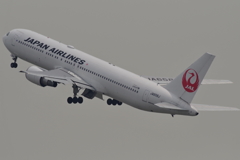 今日の飛行機③