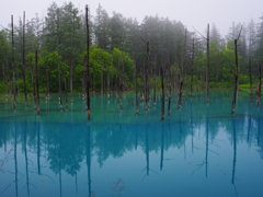 雨：青い池