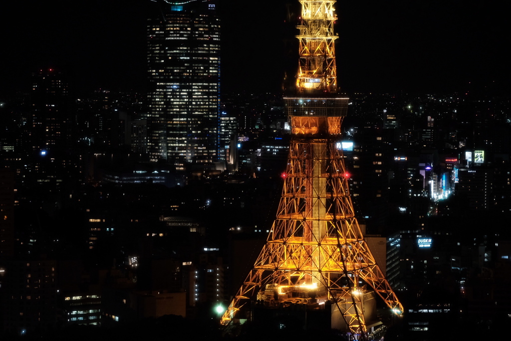 今日の夜景①