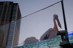 お写ん歩⑤
