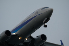 散歩⑤