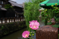 街並み散歩