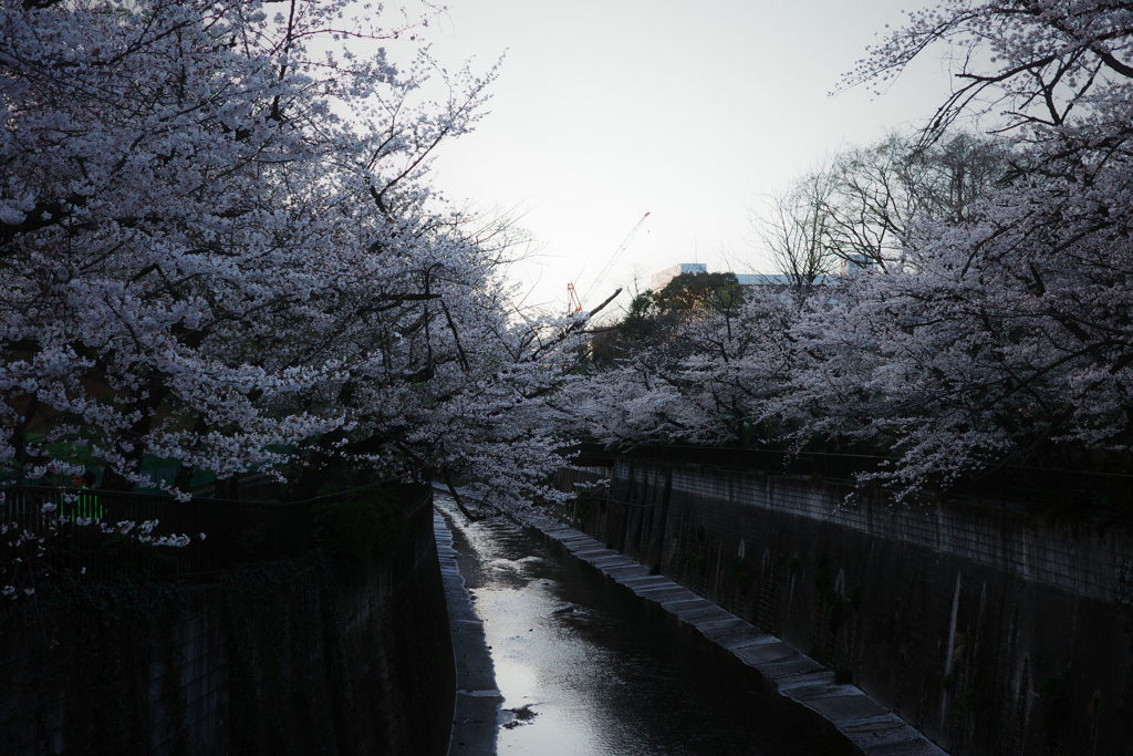 川で