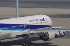 国際線ターミナル②