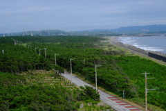 道