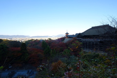 今日の散歩②