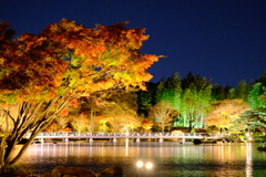 紅葉ライトアップ