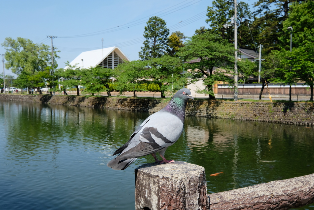 写んぽ②