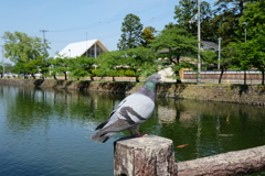 写んぽ②