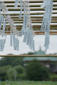 風鈴祭