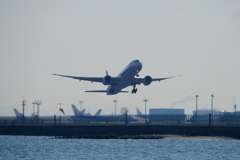 海浜公園①飛翔
