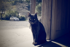 駅の住人