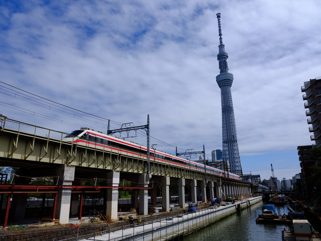 散歩道で