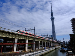 散歩道で