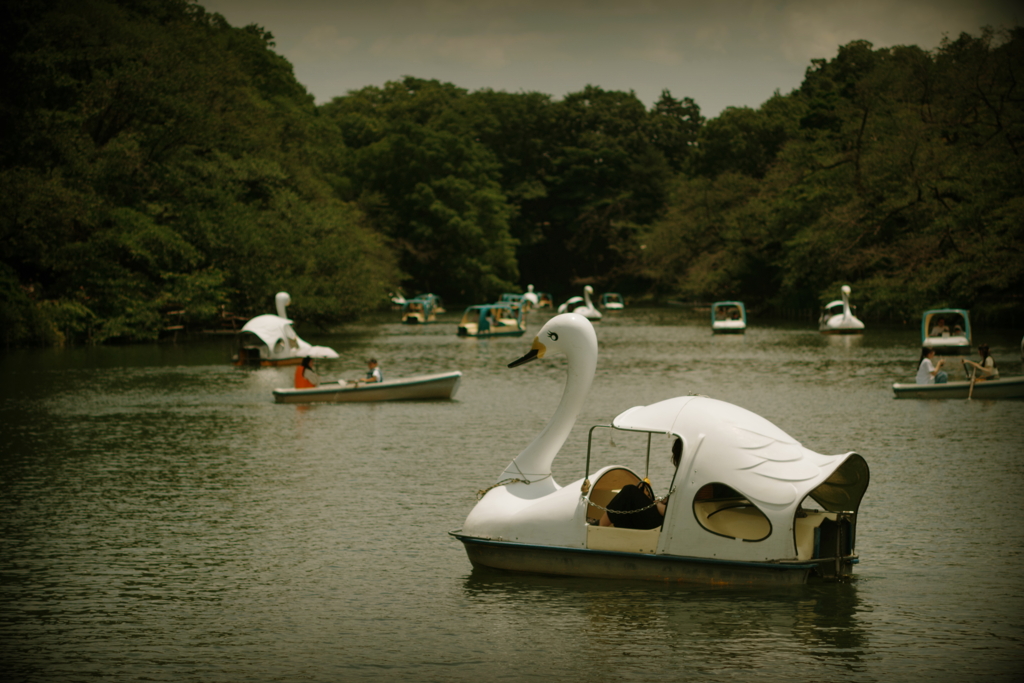 公園散策