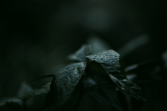 雨の中で