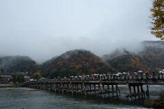 渡月橋 雨