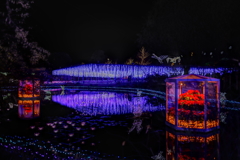 夜光③