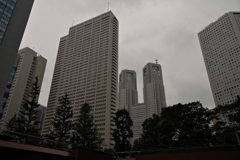 今日は雨