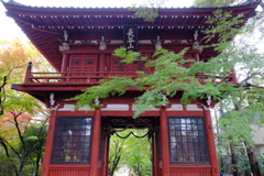 紅葉寺