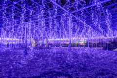 夜光④