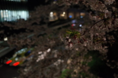 帰り道②