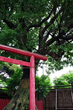 お参り