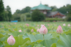 きけんな暑さが続きますね