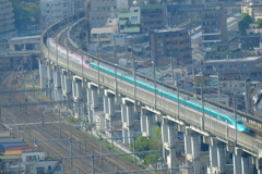 散歩⑤