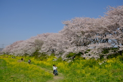 春に誘われて①