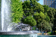休日公園