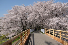 春に誘われて③