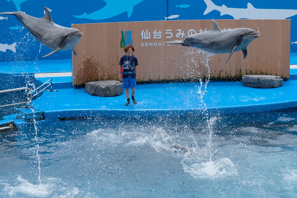 飛べるんだ！