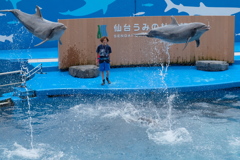 飛べるんだ！