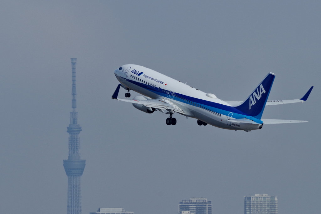 久しぶりの空鉄