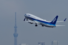 久しぶりの空鉄