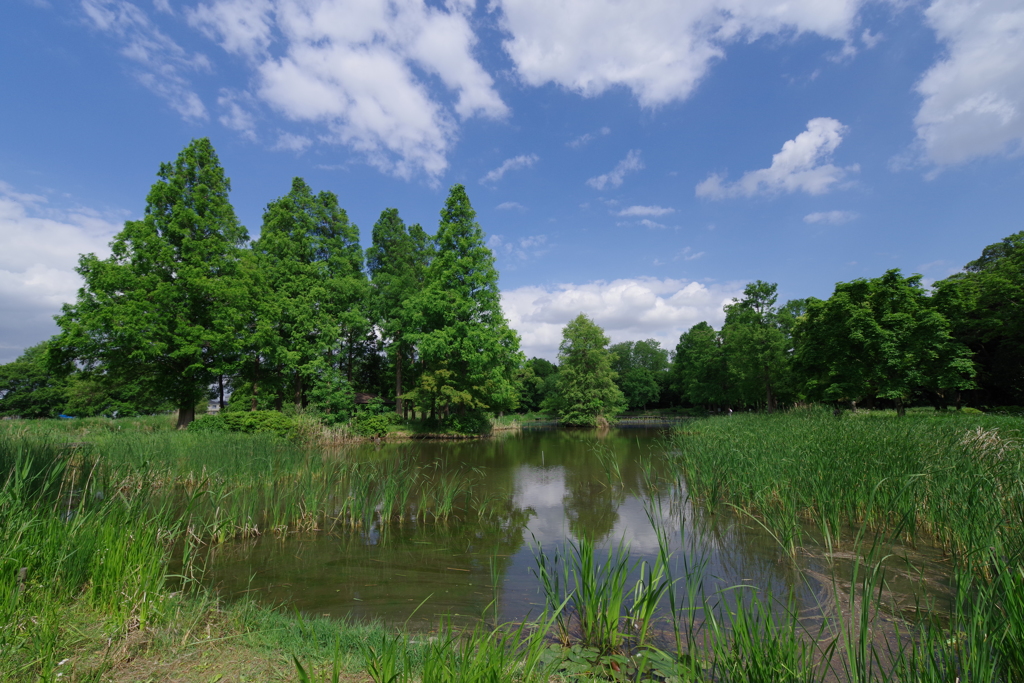 休日の風景