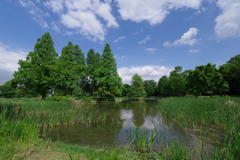 休日の風景