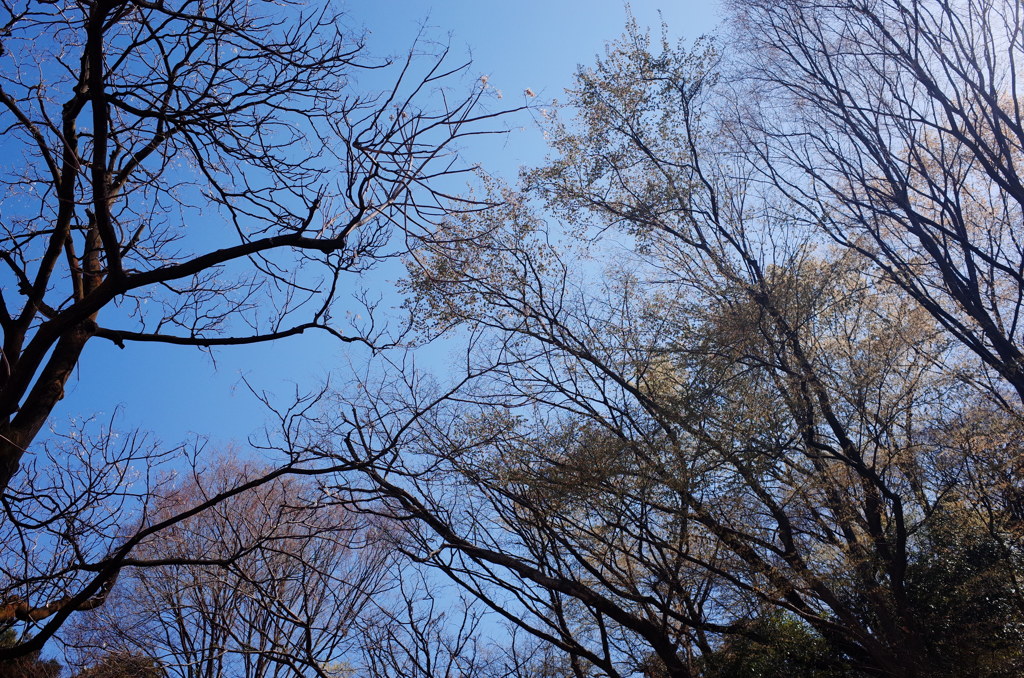 午後のひととき①
