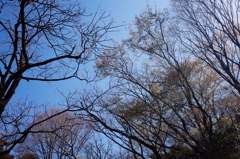 午後のひととき①