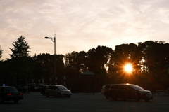夕陽