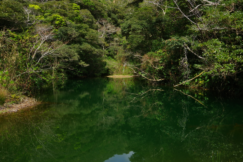 硫黄沼