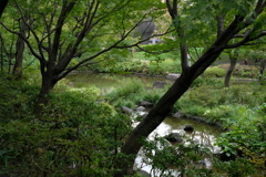 庭園散歩