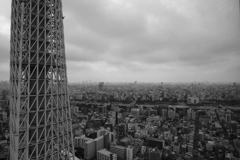 タワー