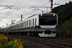 電車撮り