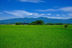 夏風景