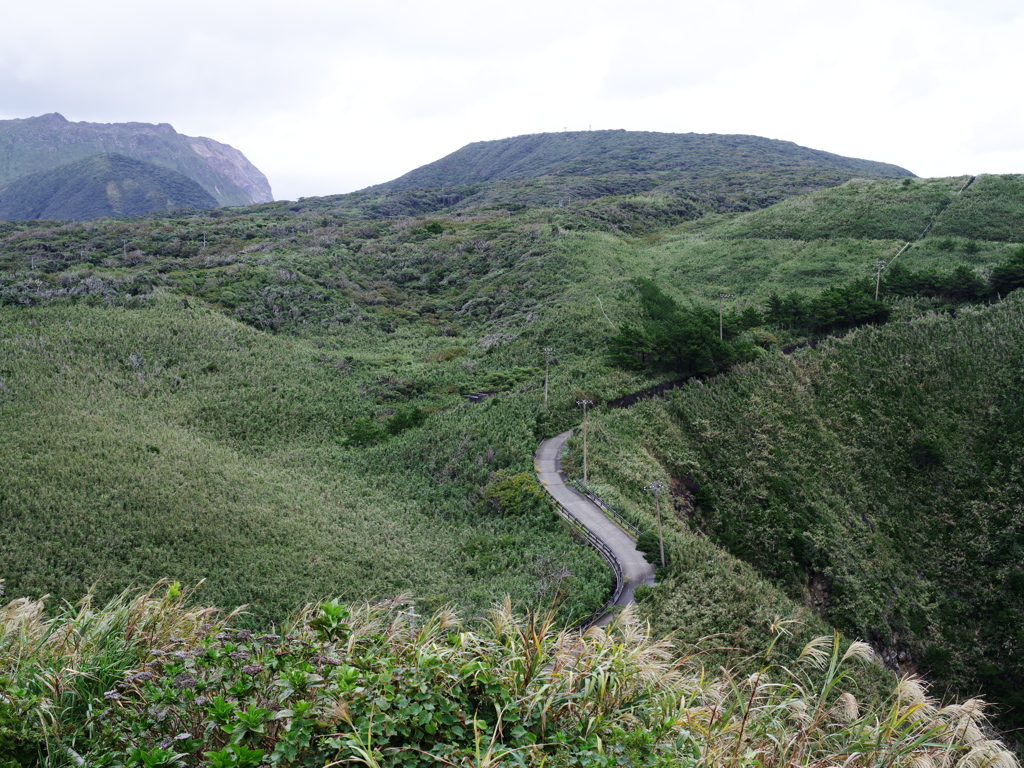 山と道