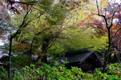 また来ます