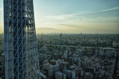 夕陽