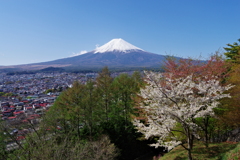 富士麓